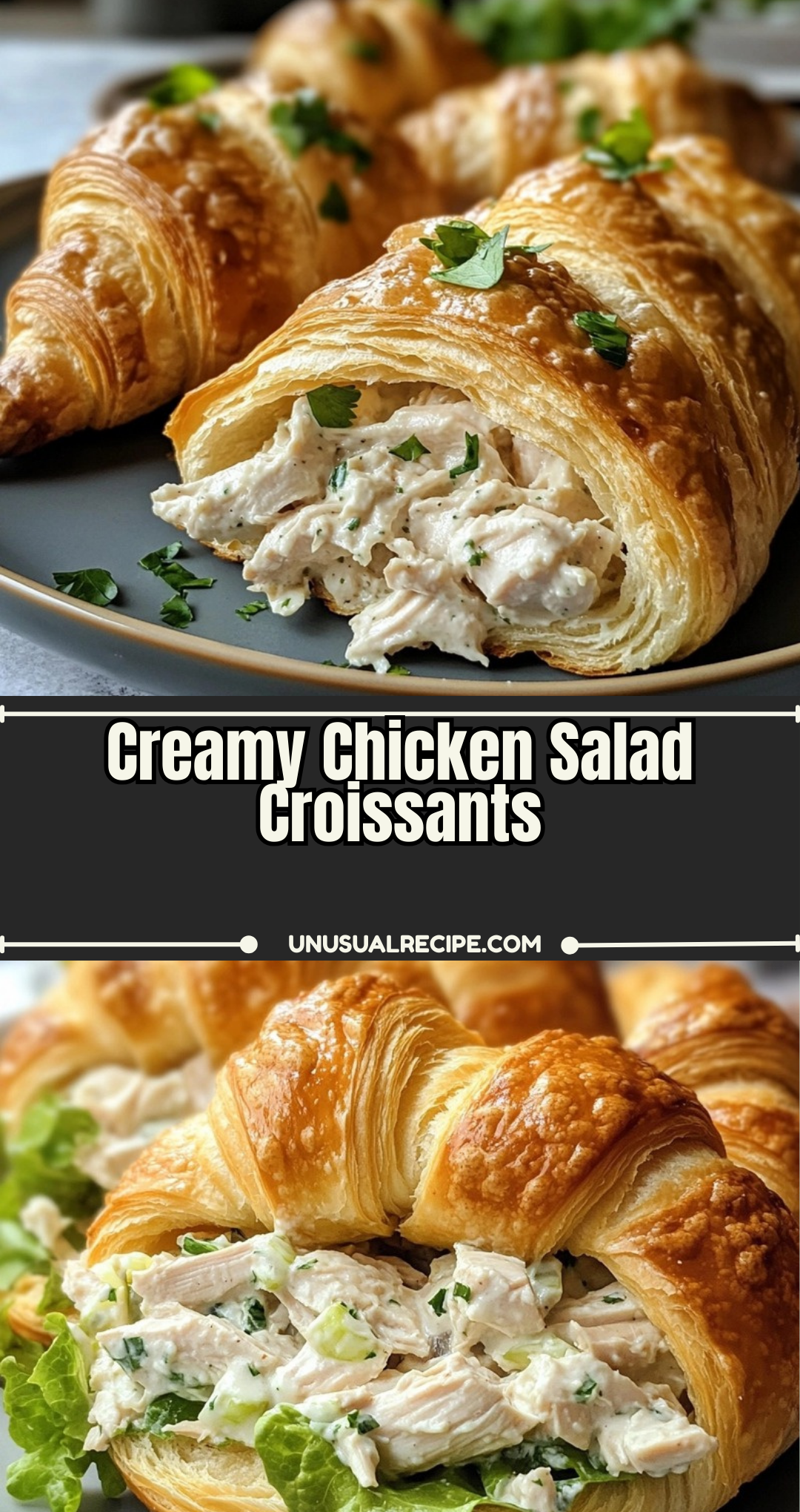 Creamy Chicken Salad Croissants