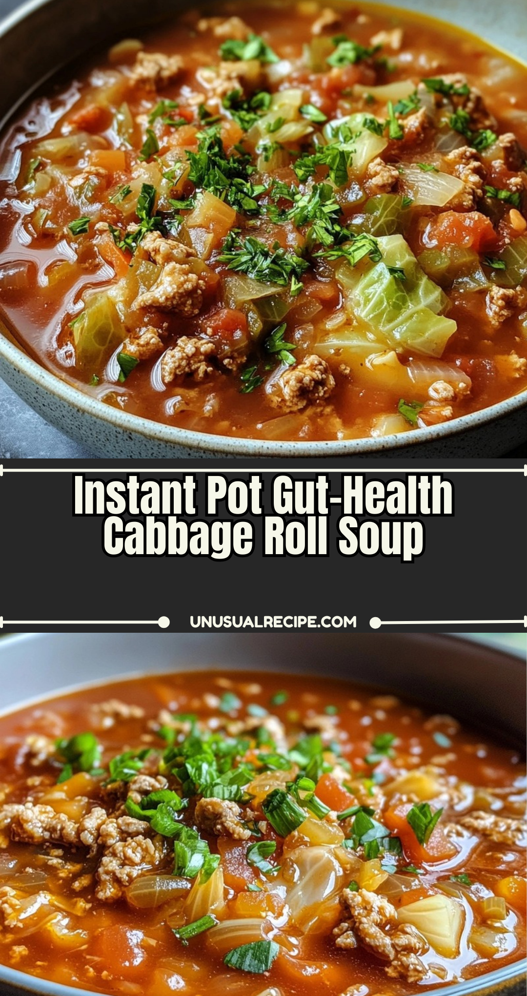 Instant Pot Gut-Health Cabbage Roll Soup